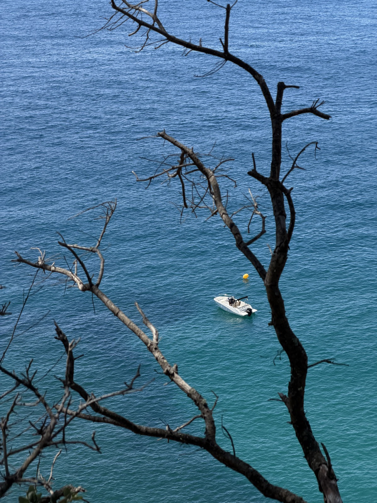 A boat on turquoise water